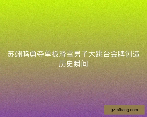 苏翊鸣勇夺单板滑雪男子大跳台金牌创造历史瞬间