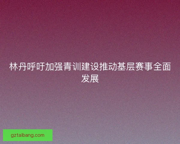 林丹呼吁加强青训建设推动基层赛事全面发展