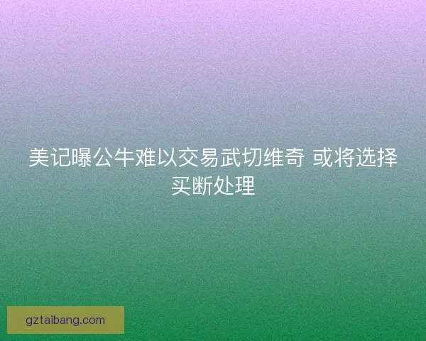 美记曝公牛难以交易武切维奇 或将选择买断处理