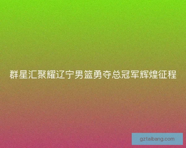 群星汇聚耀辽宁男篮勇夺总冠军辉煌征程