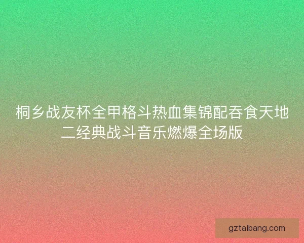 桐乡战友杯全甲格斗热血集锦配吞食天地二经典战斗音乐燃爆全场版